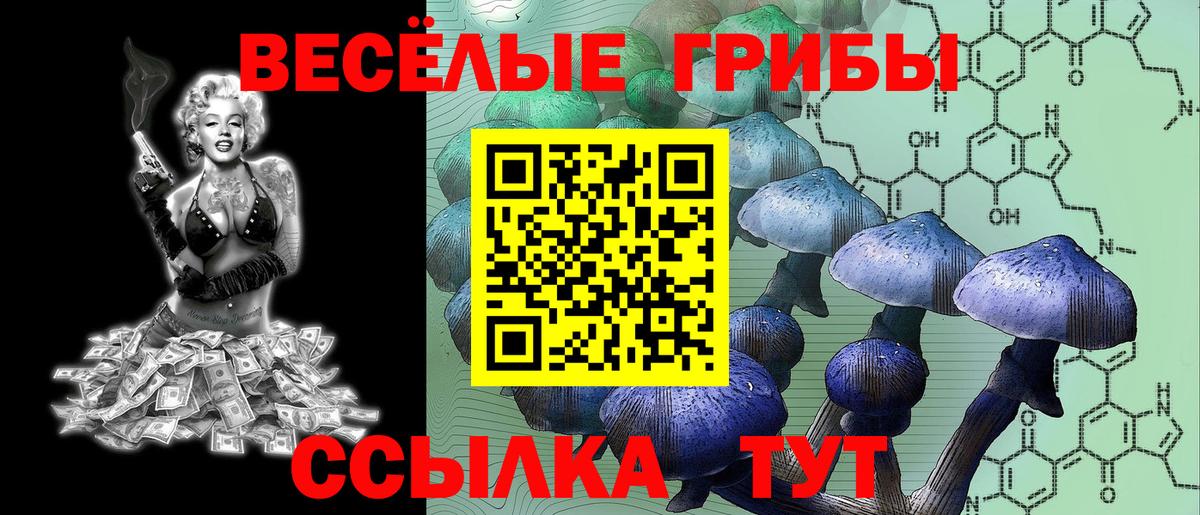 Галлюциногенные грибы Magic Shrooms Альметьевск