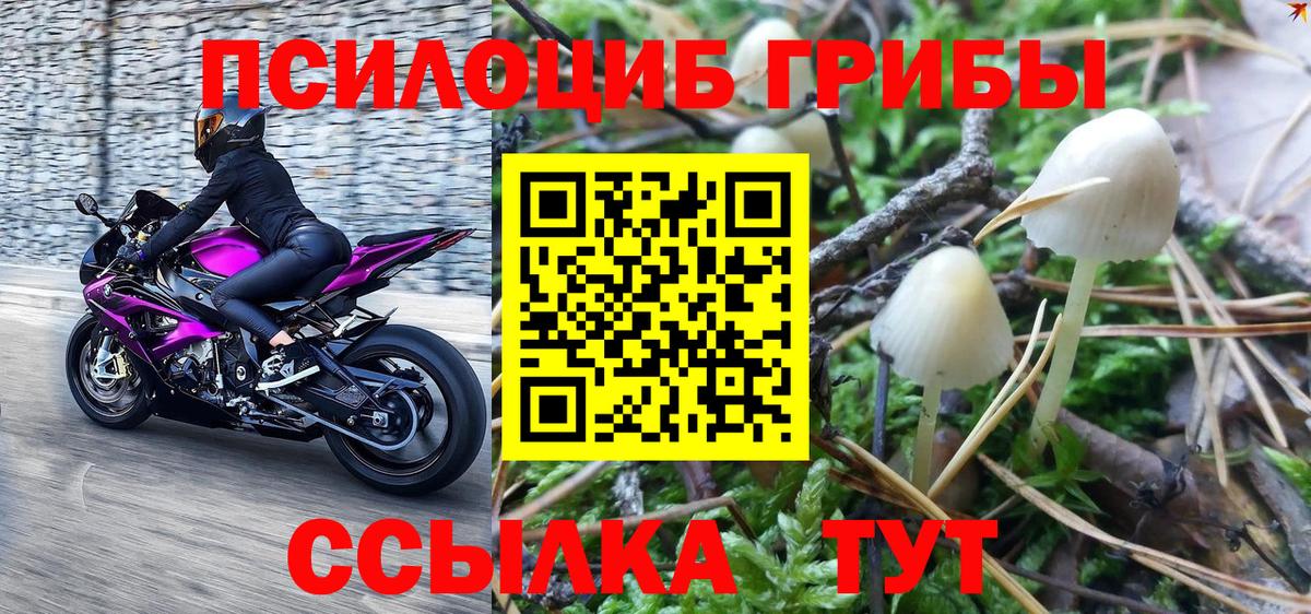 Галлюциногенные грибы MAGIC MUSHROOMS  Вход с VPN  Альметьевск 